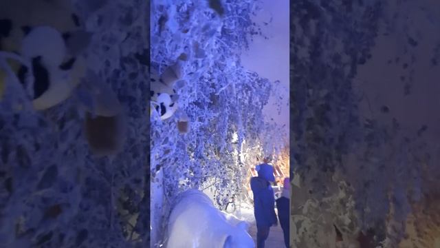 Андрей Демидов. Прогулки по Франции. Дюнкерк и зимняя сказка в Ратуше. смотреть онлайн