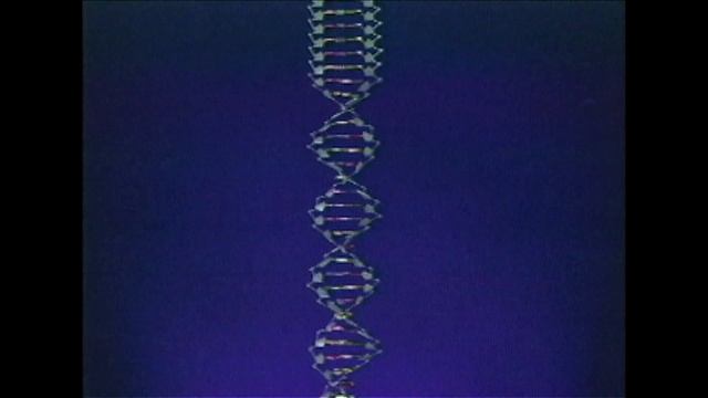 Role Of DNA In Criminal Investigations | The New Detectives смотреть онлайн