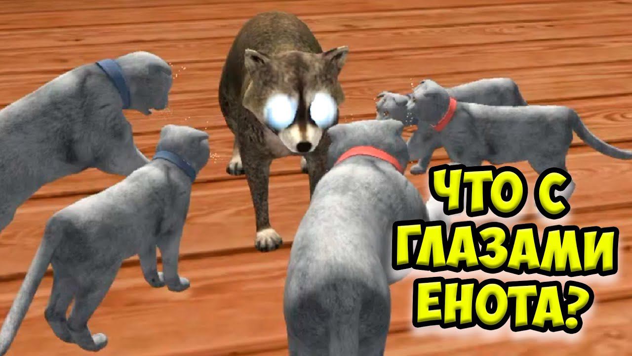 Симулятор КОТА и КОШКИ Как победить босса в СИМЕ cat sim смотреть онлайн