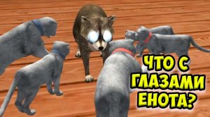 Симулятор КОТА и КОШКИ Как победить босса в СИМЕ cat sim