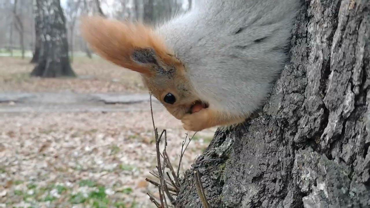 27 октября 2023 г.