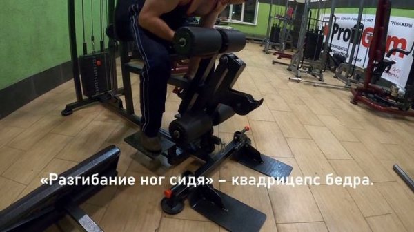 Profigym многофункциональный тренажер