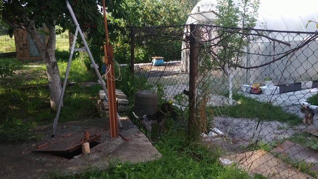 как лает курцхаар щенок, знакомство с йоркширским терьером смотреть онлайн