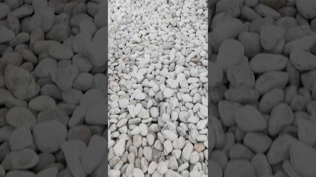 как получается морской камень смотреть онлайн