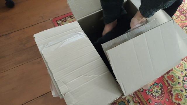 Судьба котика ч.2-я смотреть онлайн