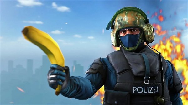 CS:GO Напарники