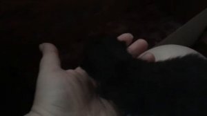 VLOG : Хаотичный влог.И пошло-поехало.