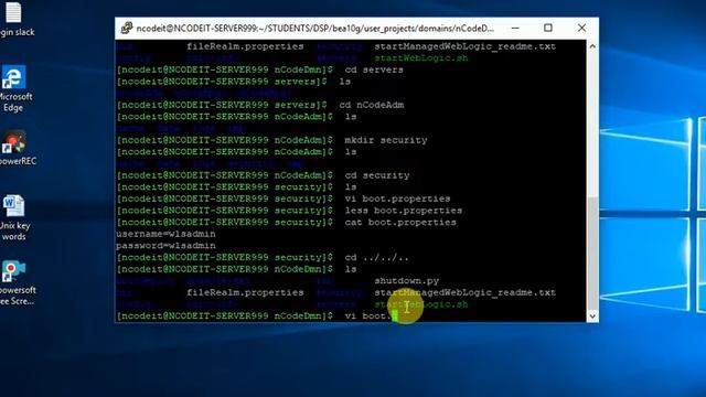 Start & Stop Servers and Wrapper Scripts смотреть онлайн