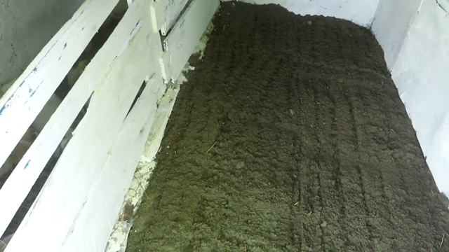 ПЕРВЫЙ ОБЛОМ. Бройлеры КОББ 500. Две недели. Индюшки,расклёв клоаки смотреть онлайн