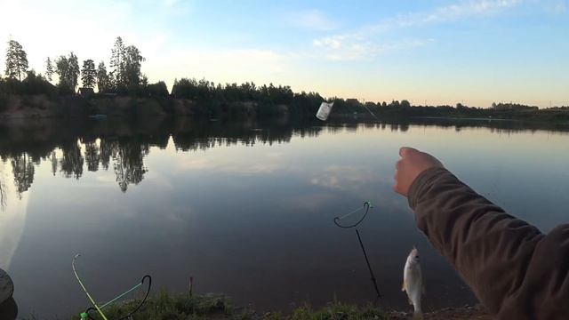 Карась на донку (На фидер, закидушку). смотреть онлайн