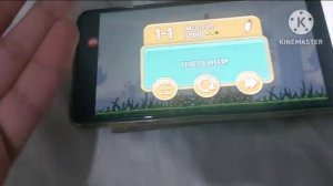KILLER ANGRY BIRDS