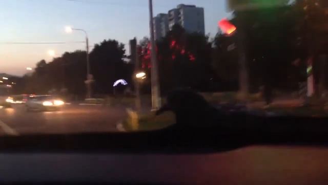 Голубь на машине смотреть онлайн