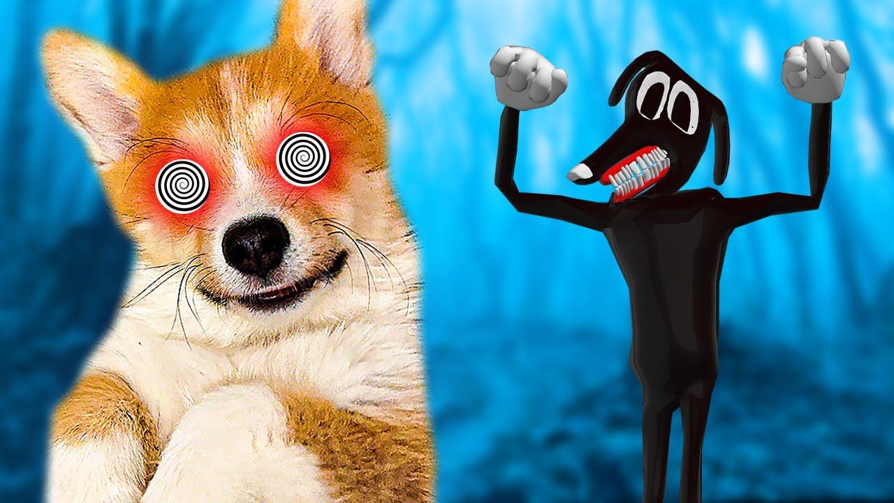 Меня заколдовал КАРТУН ДОГ!! (Корги Коржик) Говорящая собака смотреть онлайн