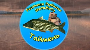 Как поймать Тайменя на Братском водохранилище [NEW] | Реальная Рыбалка