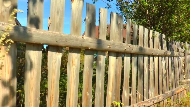 Мирҗәм авылы клибы смотреть онлайн