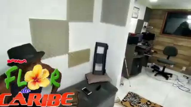 Banda Flor do Caribe - A Sofrência bate смотреть онлайн