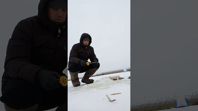 Ответ Кондрашову.)))ЖЕСТЬ!!! Рыбалка на голодного РОТАНА! смотреть онлайн
