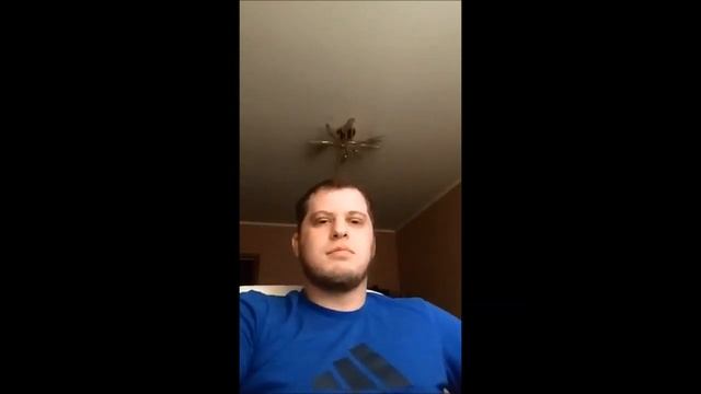 Дмитрий из Петербурга - оформил заграничный паспорт без военного билета - Z-PASSPORT.COM смотреть онлайн