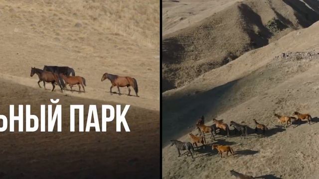 "СЛЕДУЙ ЗА...ЗАПОВЕДНАЯ АЛАНИЯ" смотреть онлайн