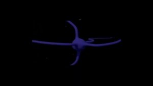 ПОРНОГРАФИЯ, ЕЕ ВЛИЯНИЕ НА МОЗГ - необратимые изменения, интересный факт!