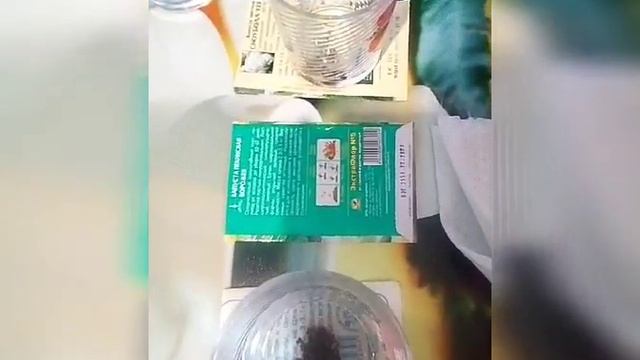 Как сажать капусту на рассаду смотреть онлайн