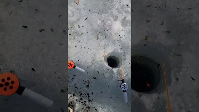 Чебак часть. 2. смотреть онлайн
