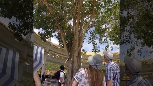 Экскурсия в центр буддизма Наньшань! О Хайнань 2019 г. смотреть онлайн