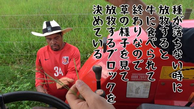 【ド迫力】闘莉王のブラジルのデカイ方の牧場に来てみたら、猛牛同士が大ゲンカを始めてビビった！「どっちが強いかはっきりしたらいい！」柵全壊危機の雄牛アタックに闘将キレた смотреть онлайн