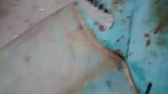 мотроллер муравей собран из подручных частей смотреть онлайн