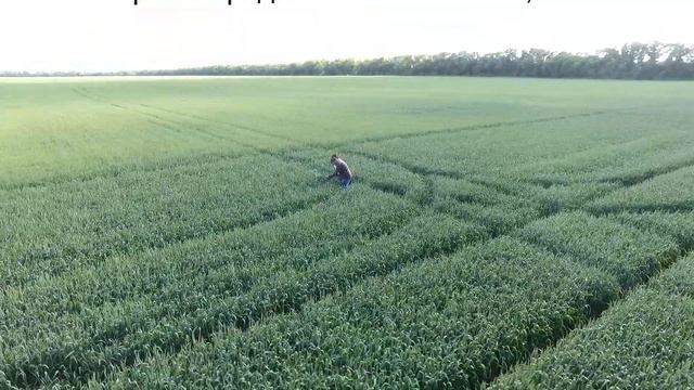 ЮКА смотреть онлайн