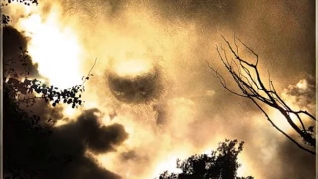 Дм. Воденников. Стихи о собаке смотреть онлайн