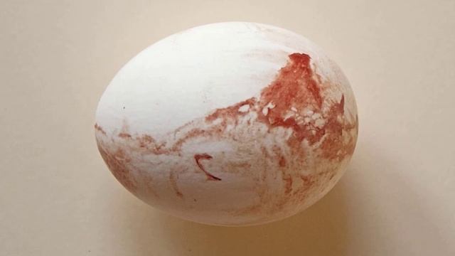 Куры несут яйца с кровью смотреть онлайн