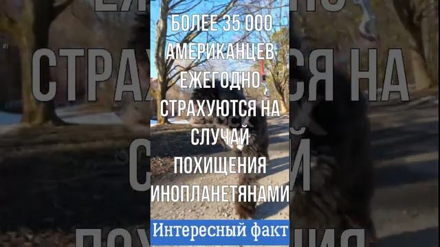 Факт про инопланетян смотреть онлайн
