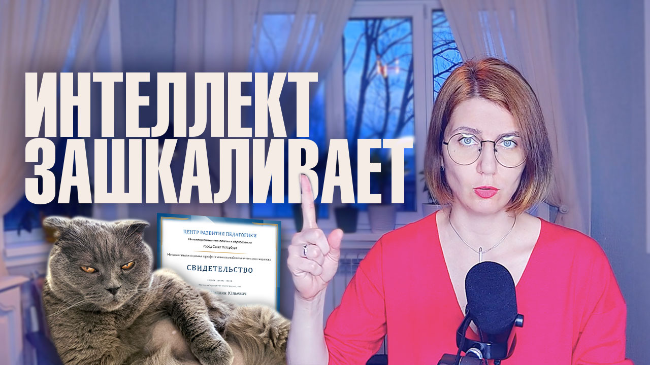 Мой кот умнее Алисы Тепляковой. Провожу эксперименты с котом: кот смотрит лекции и сдает тесты смотреть онлайн