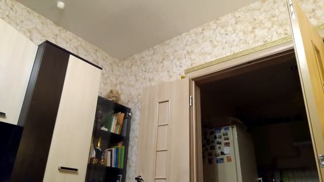 Что Вы знаете о нерешительности?) смотреть онлайн