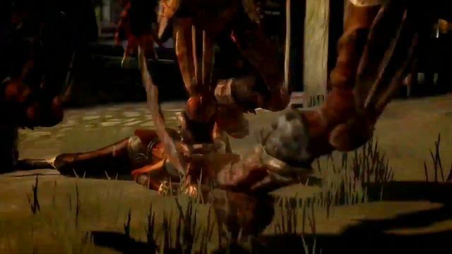 Dragon Age – MV Ferelden Battle смотреть онлайн