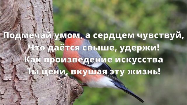 Послание света №1 смотреть онлайн