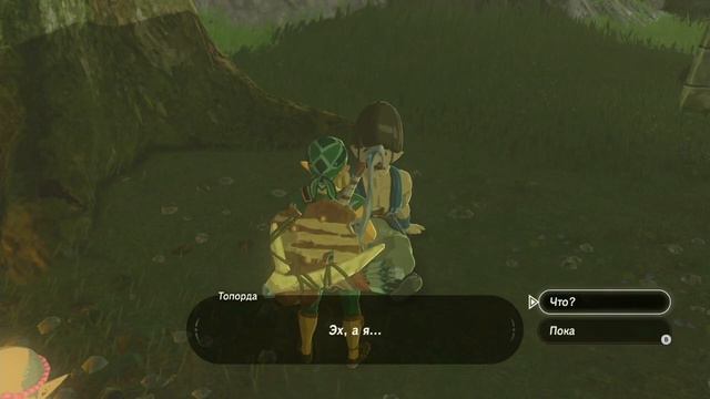 The Legend Of Zelda: Breath Of The Wild # 26  ☀ Свой дом в Хатено : прохождение ☀