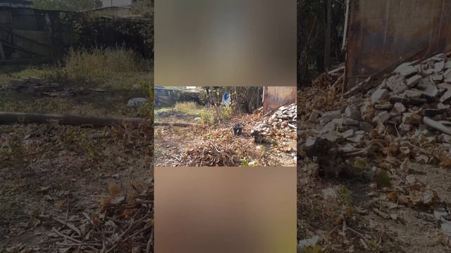 Видео от подписчика. Генератор на ремне. Заряд есть. смотреть онлайн