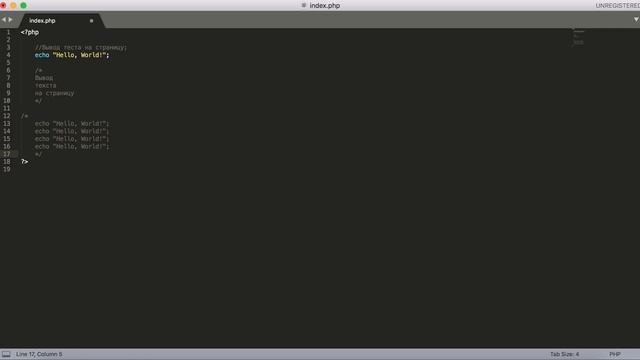 Основной синтаксис PHP. Переменные в PHP. Типы данных в PHP смотреть онлайн