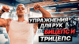 Тренировка бицепса и трицепса