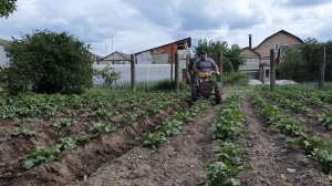 Дисковый окучник для мотоблока