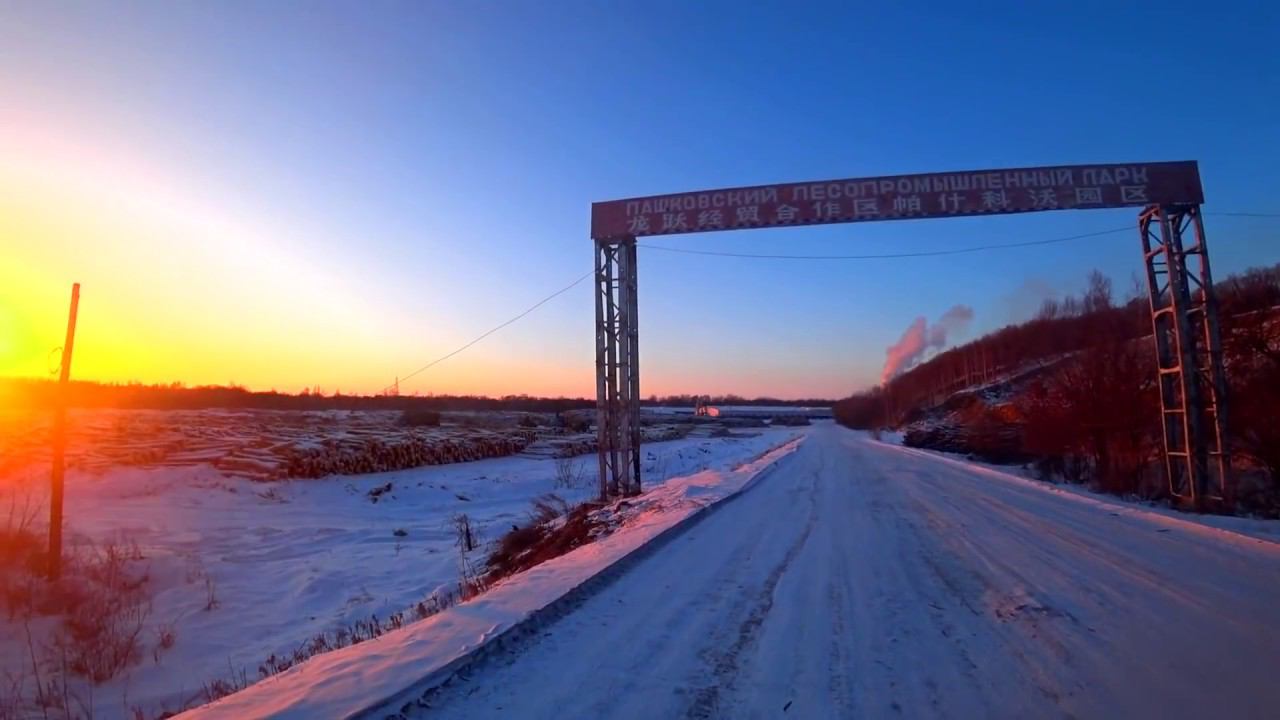 Вырубка ТАЙГИ китайцами, максимальный репост. ПЕРЕЗАЛИВ смотреть онлайн