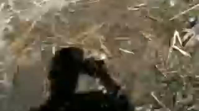 рыбалка на рыбозагородителе.Волгодонск.mp4 смотреть онлайн