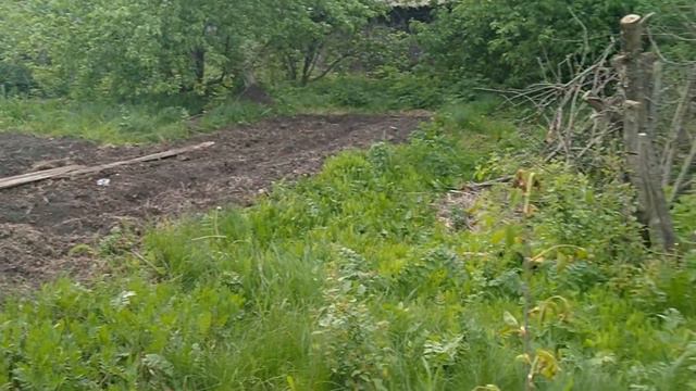 В саду весной смотреть онлайн