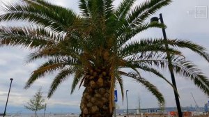 Баку - Белый город: плюсы и минусы