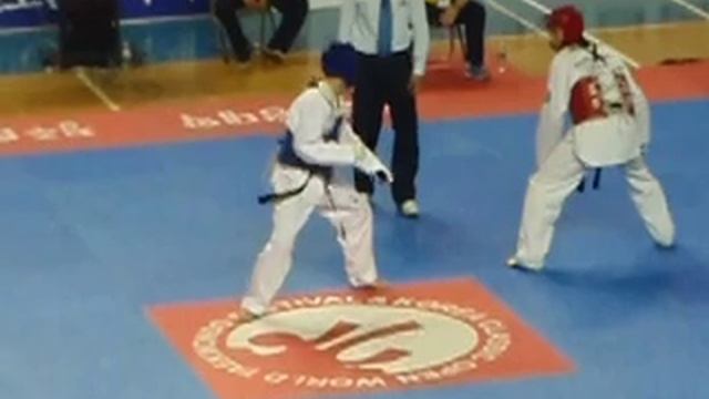 World Taekwondo Festival and Korean Open 2008 смотреть онлайн