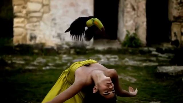 Очень красивый клип с животными 2017 смотреть онлайн