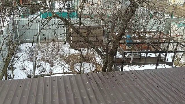 ХАРЬКОВ !Говорю как есть!!Прилёты! смотреть онлайн