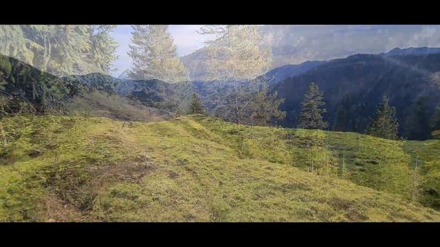 Поход турклуба "Gorod" - 29 октября 2023 года на Seebergschneid (1504 м) смотреть онлайн